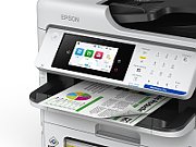 Pachet cu cartuse incluse Imprimanta multifunctionala inkjet color Epson C800rdwf, A4, duplex, ADF, USB 2.0, 34 ppm
 [1 buc]Cartus cerneala Epson C13T11P140 ,Negru ,50 000 pagini ,Original (C13T11P140) 
 [1 buc]Cartus cerneala Epson C13T11P240 ,Albastru ,20 000 pagini ,Original (C13T11P240) 
 [1 buc]Cartus cerneala Epson C13T11P340 ,Magenta ,20 000 pagini ,Original (C13T11P340) 
 [1 buc]Cartus cerneala Epson C13T11P440 ,Galben ,20 000 pagini ,Original (C13T11P440)_2